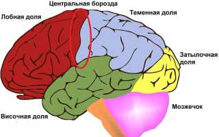 Роландическая эпилепсия у детей