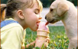 Проявление и лечение глистов и паразитов в печени